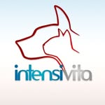 Intensivita